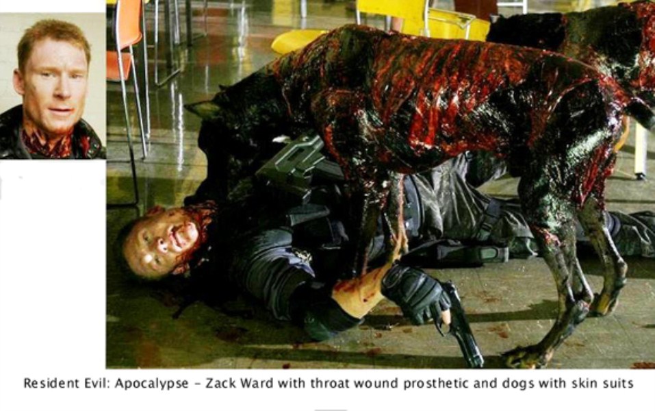 Dog attack Dog attack